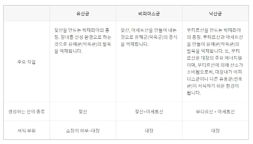 낙산균 유산균 비피더스균 차이