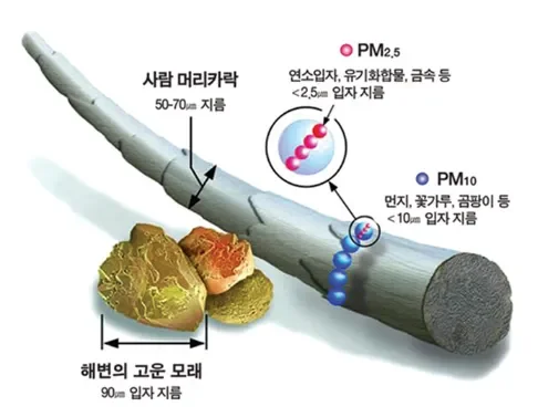 초미세먼지