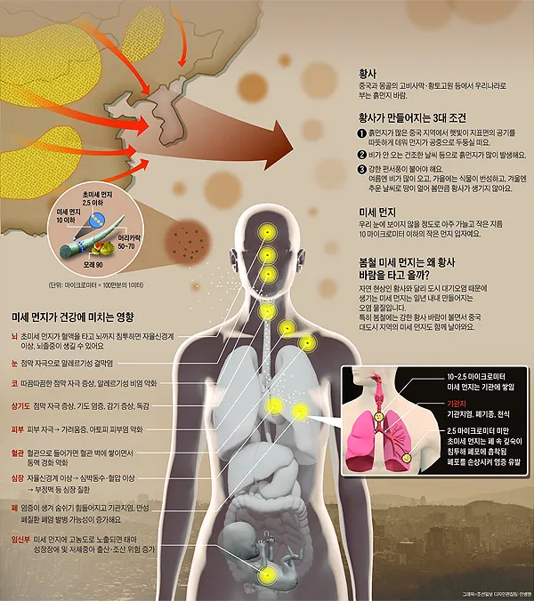 초미세먼지가 몸에 미치는 영향