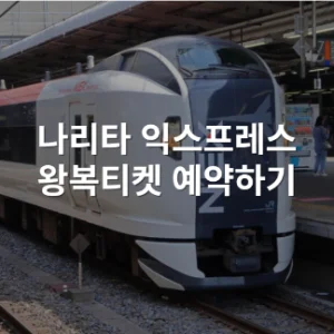 나리타 익스프레스 NEX